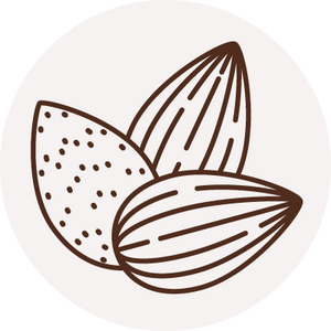 Almond icon