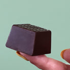 Dark Chocolate Lemon Truffle Square by Rocky Mountain Chocolate Factory closeup image