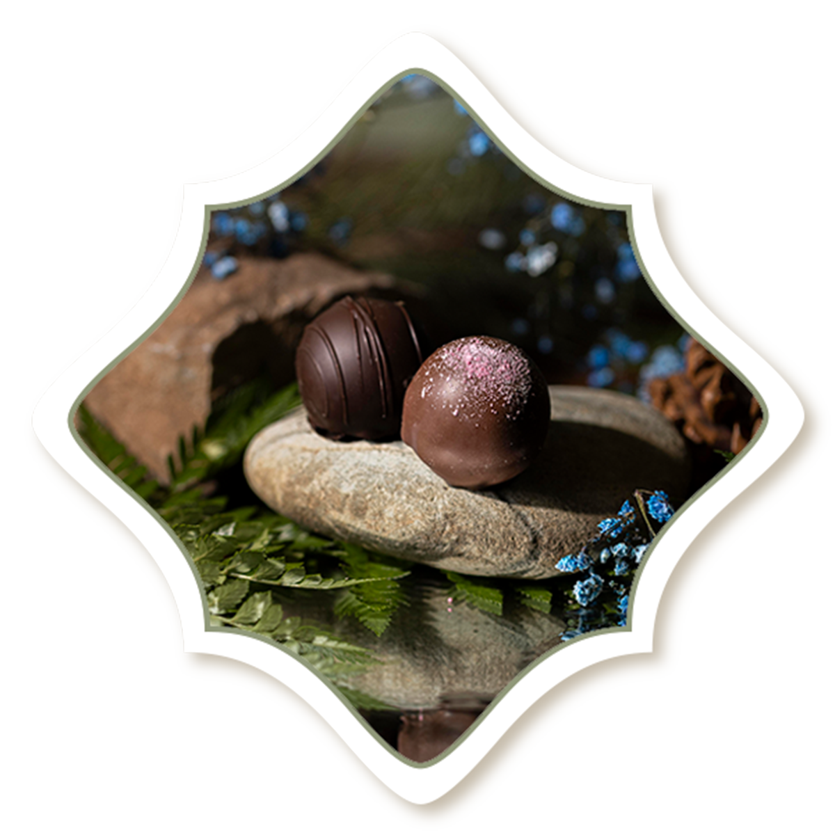 premium truffles, luxury chocolate, Rocky Mountain Chocolate Factory