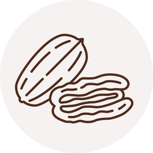 Pecan icon